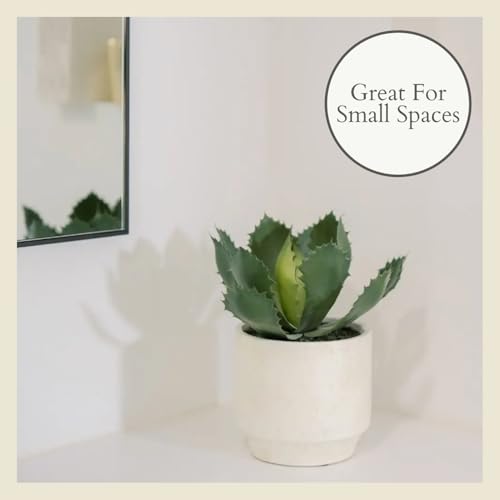 Round Faux Succulent Arrangement (10" Round Set-of-2)