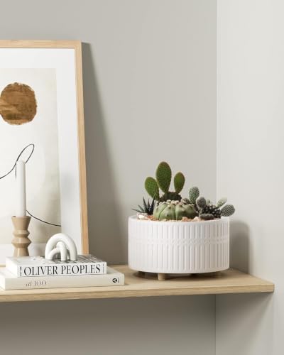 Succulent Pots (2 Count)