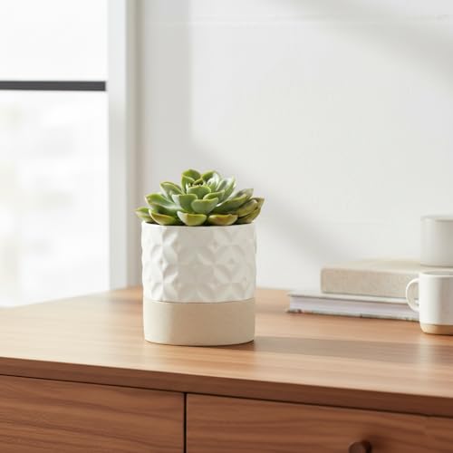 Self Watering Ceramic Plant Pot (Matte White & Brown Star / 4.5" Self Watering)