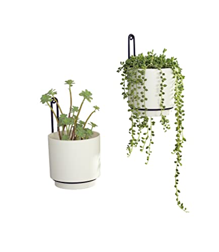 2 Pcs Wall Mounted Hanging Planter Vase for Indoor and Outdoor Plants Modern Metal Wall and Ceiling Planter Minimalist Flower Pot (2 Count)