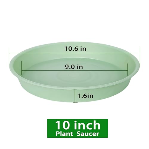 2 Pack of 10 inch Plant Saucer Gray (10" (2 pack) / Light Green)