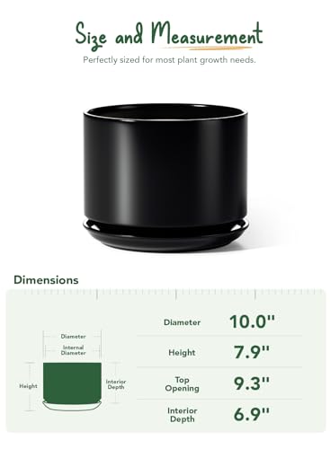 10 inch Plant Pot (Black / 10")