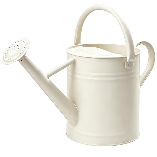 Metal Watering Can for Outdoor Plants (Cream White)