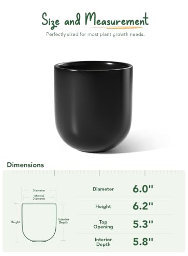6 Inch Ceramic Plant Pot (Black / 6 Inch)