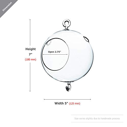 WGV Hanging Terrarium Globe (5" Double Hook)