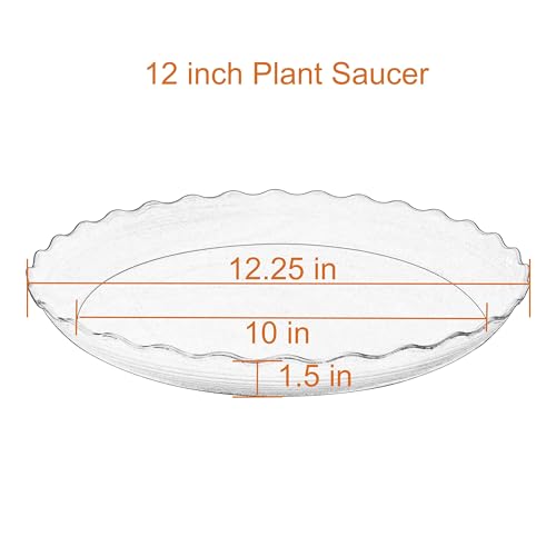 6 Pack of 12 inch Plant Saucer Plant Tray (12" (6 pack) / Beige)