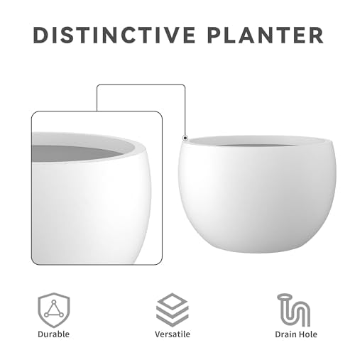 Accent Round Bowl White Concrete Planter 15.7" Dia (Pure White / 15.7" d)