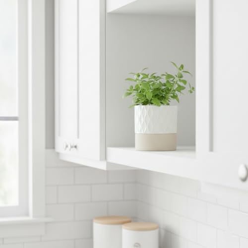 Self Watering Ceramic Plant Pot (Cream White & Brown Net / 4.5" Self Watering)