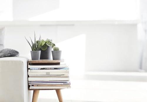 Amsterdam Mini Round Flower Planter