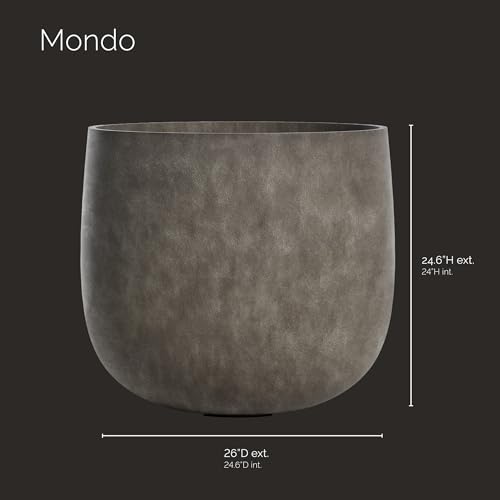 Mondo Round Indoor