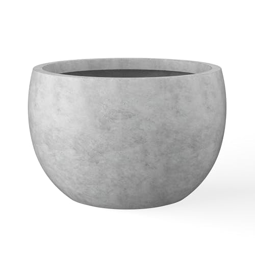 Accent Round Bowl Pale Gray Concrete Planter 15.7" Dia (Natural Concrete / 15.7" d)
