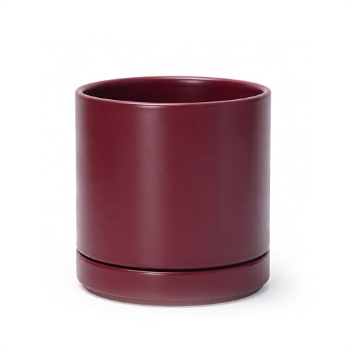 6.5 Inch Ceramic Planter Pot (Small / Cordovan)