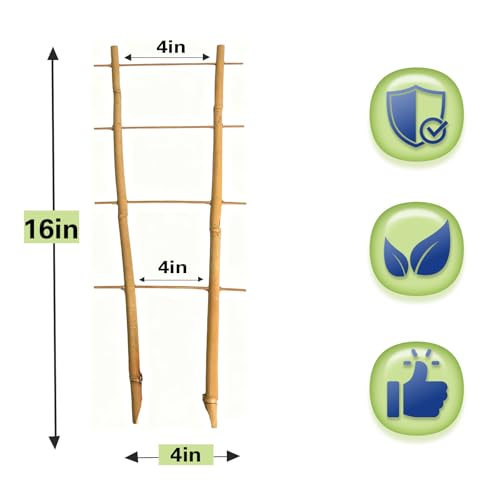 Bamboo Trellis 10 Pack (16in Ladder Shaped, Pack of 10)