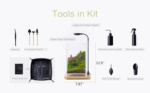 27 PCS Glass Plant Terrarium Kit with LED Grow Light (Tall Cube Set)
