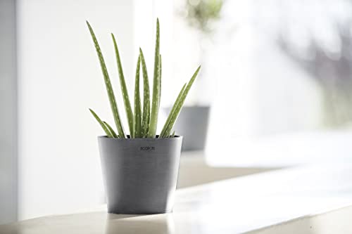 Amsterdam Mini Round Flower Planter