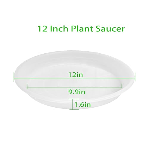 2 Pack of 12 inch Plant Saucer (12" (2 pack) / Brown)