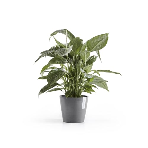 Amsterdam Round Flower Planter