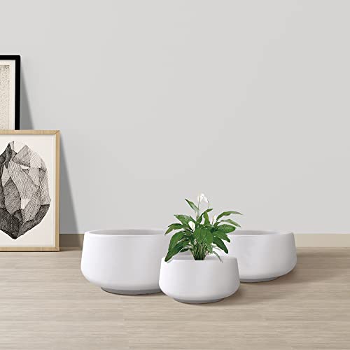 Set of 3 White Concrete Shallow Planters 21.6" 16.9" 12.5" Dia (Pure White / 21.6",16.9",and 12.5" Dia)
