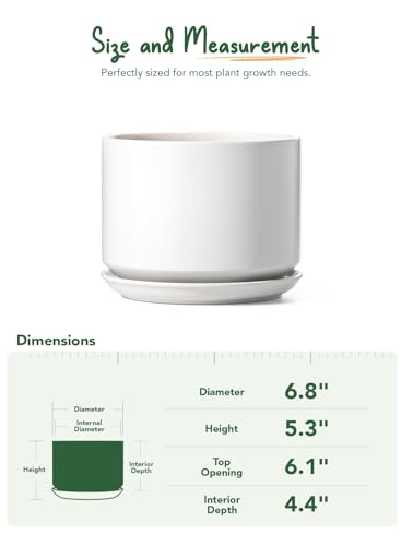 6.8 Inch Ceramic Pots for Plants (White / 6.8")