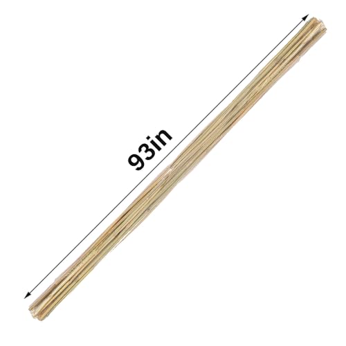 Natural Bamboo Plant Stake (93in-10PCS)