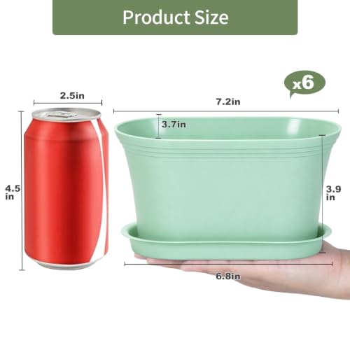 Set of 6 Windowsill Herb Garden Planters Green w (Green)