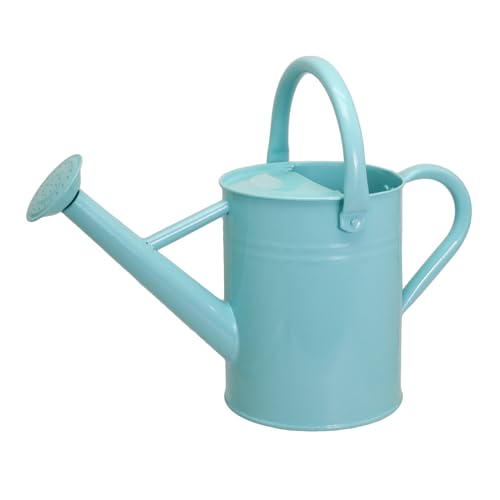 Metal Watering Can for Outdoor Plants (Mint)