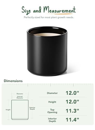 12 Inch Pot for Plants (12 Inch / Black)