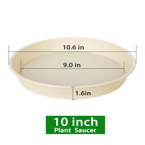 2 Pack of 10 inch Plant Saucer Gray (10" (2 pack) / Beige)