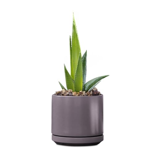Ceramic 12 Inch Mid Modern Planter Pot with Drainage Hole and Saucer