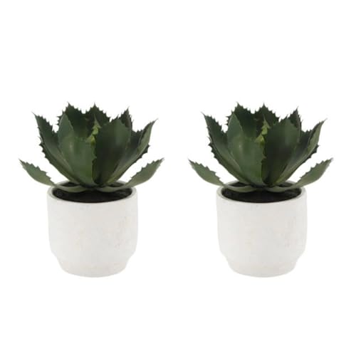 Round Faux Succulent Arrangement (10" Round Set-of-2)