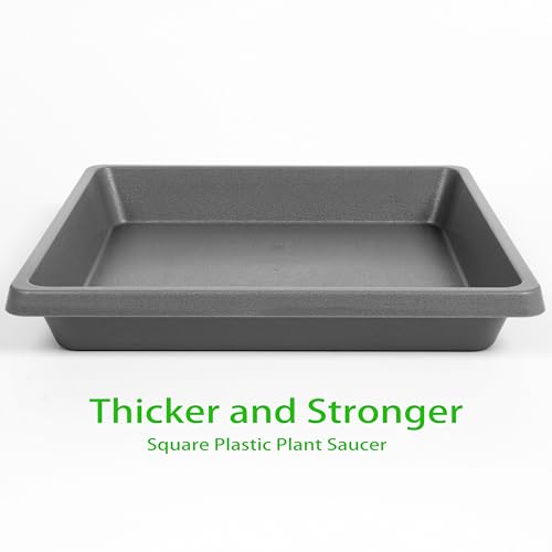Square Plant Saucer 8 Inch 2 Pack (8"(2Pack) / Gray)