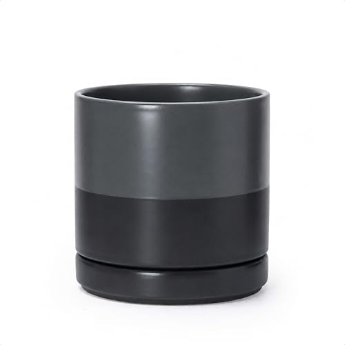 6.5 Inch Ceramic Planter Pot (Small / Slate)