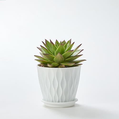 6-Pack 6-Inch Plastic Plant Pots with Saucers | Thickened PP Material, Modern Wave Texture, Enhanced Drainage for Indoor/Outdoor Garden Plants | White Value Set (White)