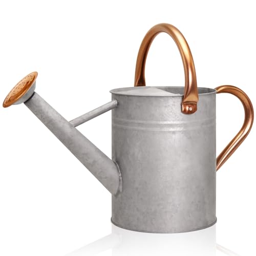 Metal Watering Can with Removable Spout (Zinc / 1 Gallon)