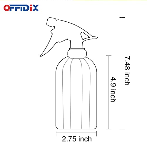 Glass Spray Bottle