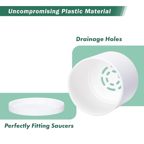 2 Pack White Plastic Planters with Saucers (4.5")