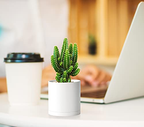 12 Pack Mini White Plastic Planters with Saucers (3")