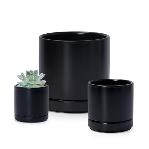 3 Pack Ceramic Pots with Saucers (3 Count)