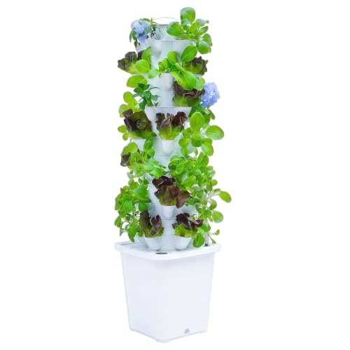 Hydroponic Growing System Kit