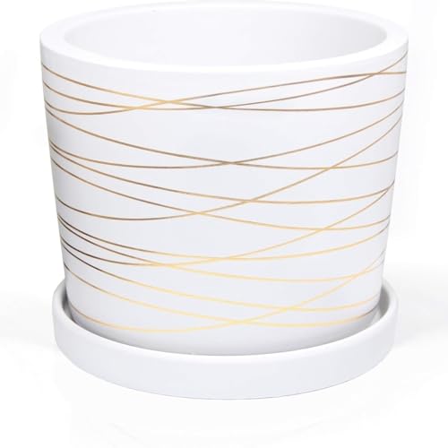 Ceramic Plant Saucer Tray 1 Pcs 8 Inch White