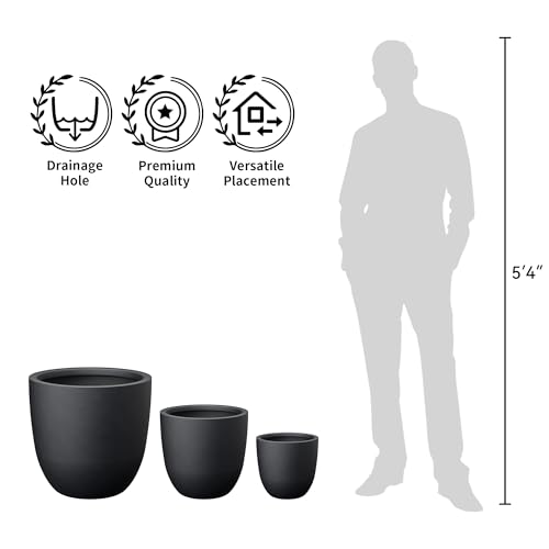 Black Concrete Planter 14" Dia All (Black / 14-Inch Dia)