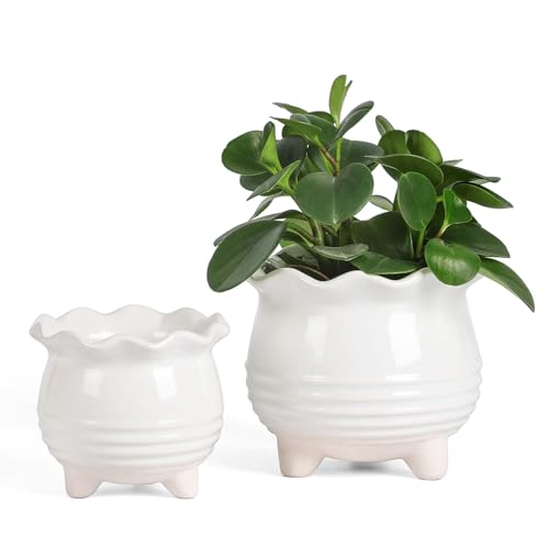 Ceramic Planter (2pcs White)