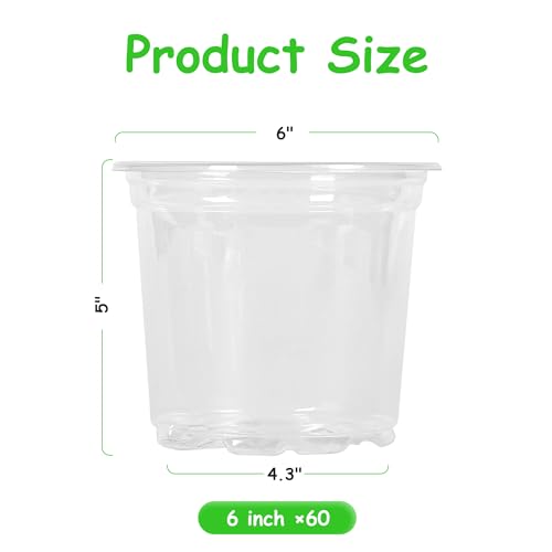 60 Pack 6 Inch Clear Nursery Pots with Drainage Hole (6 Inch)