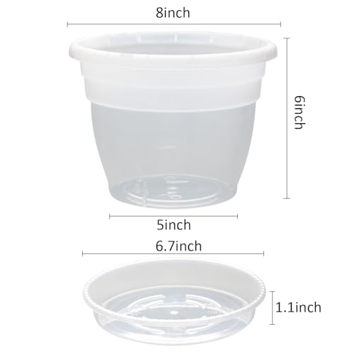 10 Pack 8 Inch Clear Nursery Pots with Drainage Holes & Saucers (Clear / 8 inch)