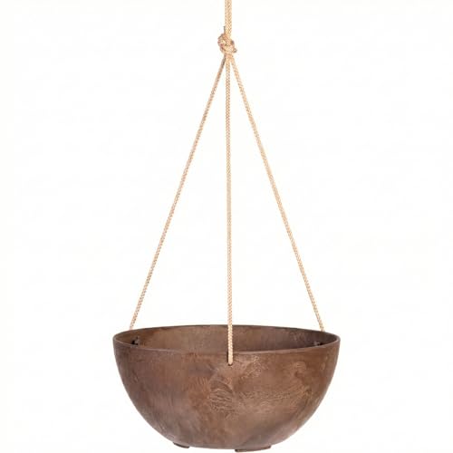 Self Watering Hanging Planter for Indoor or Outdoor Plants (Rust / 12")