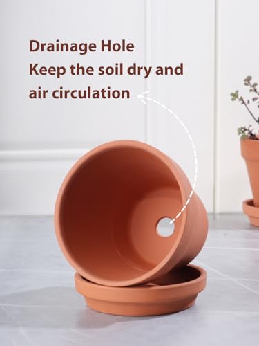 4 Inch Terracotta Pots with Saucers (Shallow 4 inch -8 pcs)