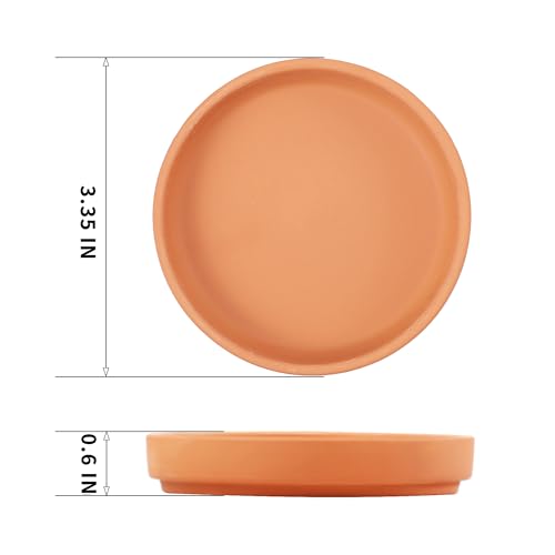 3.3 inch Small Terra Cotta Plant Saucers (3.3 inches)