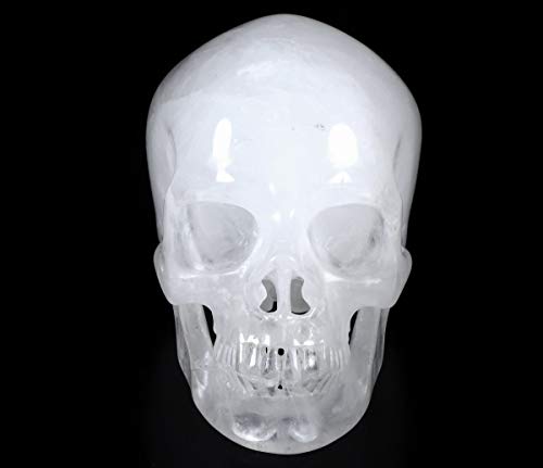 5.0" Angolan Quartz Rock Crystal Carved Crystal Skull (Skullis 5.0 Super Realistic Quartz Rock 2)