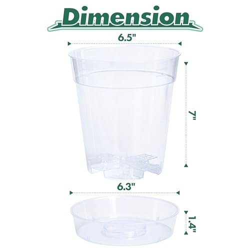 1 Gallon 6 Inch Clear Plastic Plant Pot with Drainage Holes (6.5" x 7")