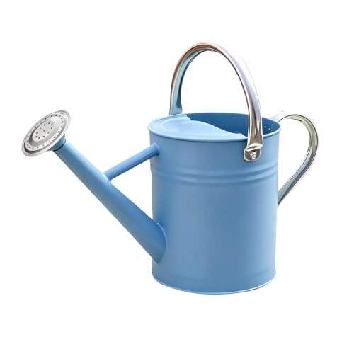 Metal Watering Can for Outdoor and Indoor Plants (Blue)